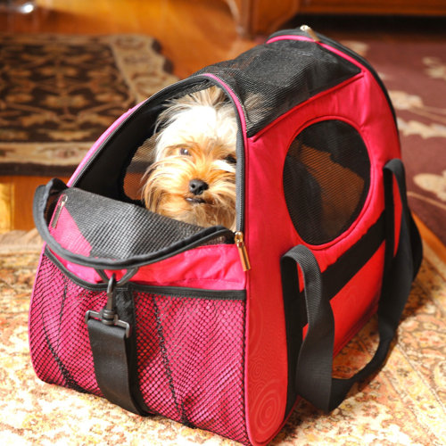 Gen7Pets CarryMe Fashion Pet Carrier & Reviews Wayfair