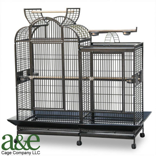 cage with divider a e cage co large split level house bird cage with divider reviews wayfair cage with divider a e cage co large split level house bird cage with divider reviews wayfair