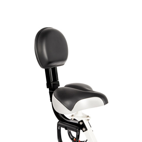 FitDesk X2.0 Semi Recumbent Bike with Desk
