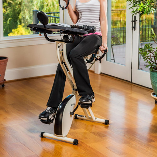 FitDesk X2.0 Semi Recumbent Bike with Desk