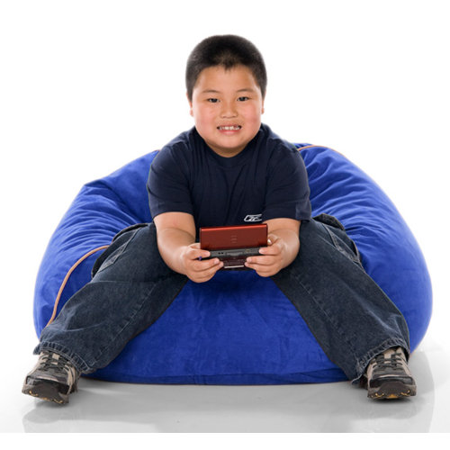 Jaxx Jr Club Bean Bag Chair & Reviews Wayfair