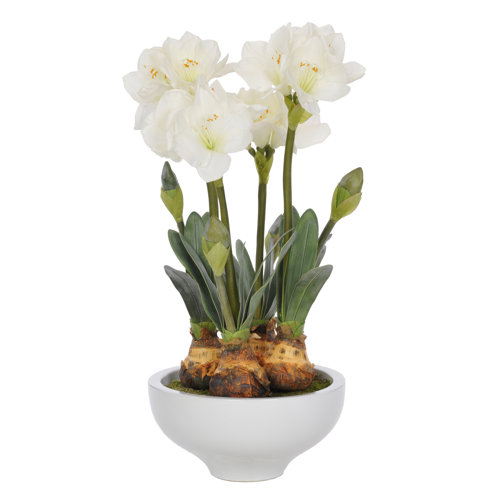 Artificial Amaryllis in Pot Wayfair