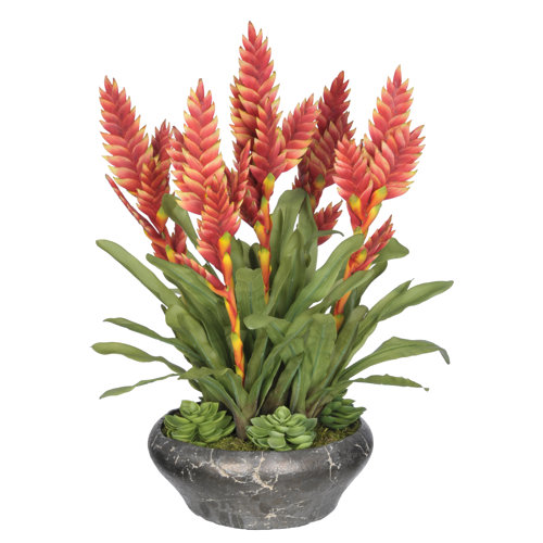 House of Silk Flowers Artificial Bromeliad Bowl Desktop Plant in