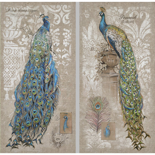 Cape Craftsmen "Peacock Indoor" by Chad Barrett Canvas Art & Reviews