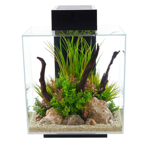 Hagen 12 Gallon Fluval Edge Aquarium Kit & Reviews Wayfair