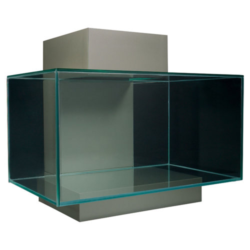 Hagen Fluval 6 Gallon Edge Aquarium Kit & Reviews Wayfair