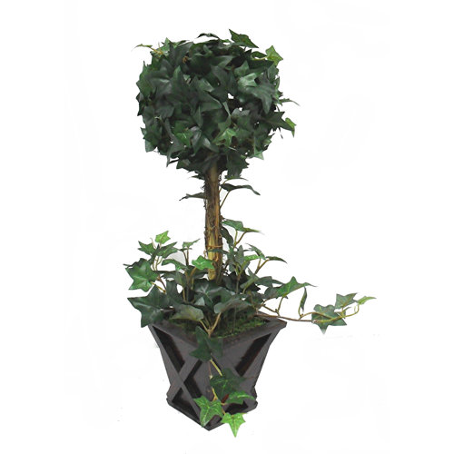 Tall English Ivy Topiary in Pot Wayfair