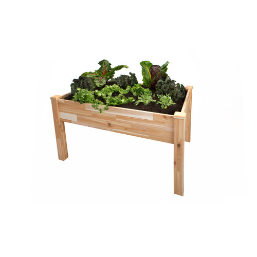 Backsavr Rectangular Elevated Planter | Wayfair