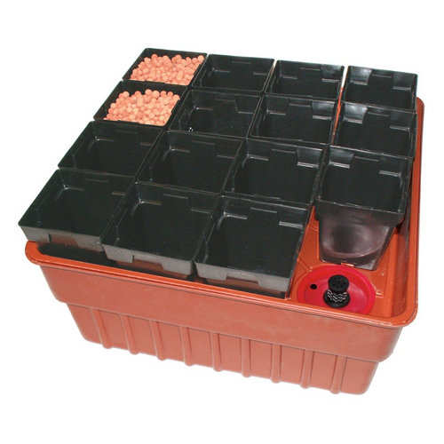 the way to construct a simple hydroponic gadget