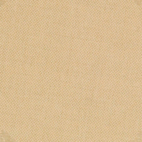 Safavieh Courtyard Brown / Tan Outdoor Area Rug