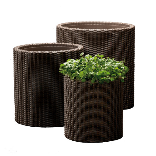 Keter 3 Piece Round Rattan Planter Set & Reviews | Wayfair