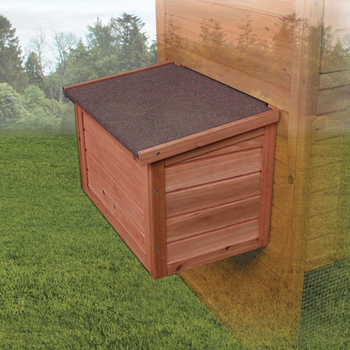 Chicken Coops Wayfair