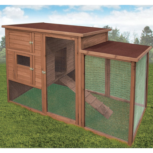 Ware Manufacturing Premium+Chicken Coop with Ramp & Reviews Wayfair