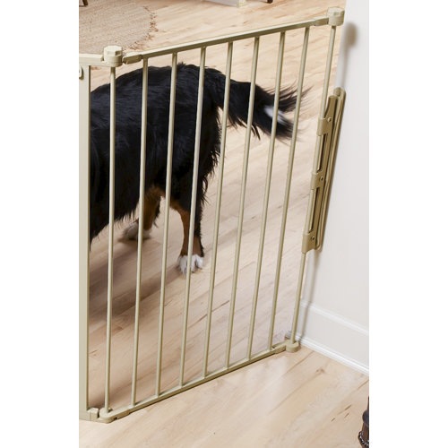 Carlson Pet 24" Gate Extension for 1510PW Flexi Pet Gate & Reviews