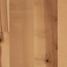 Elements Bellingham 8mm Maple Laminate in Warmed Plank image