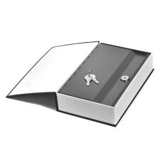 Hidden Dictionary Book Safe image