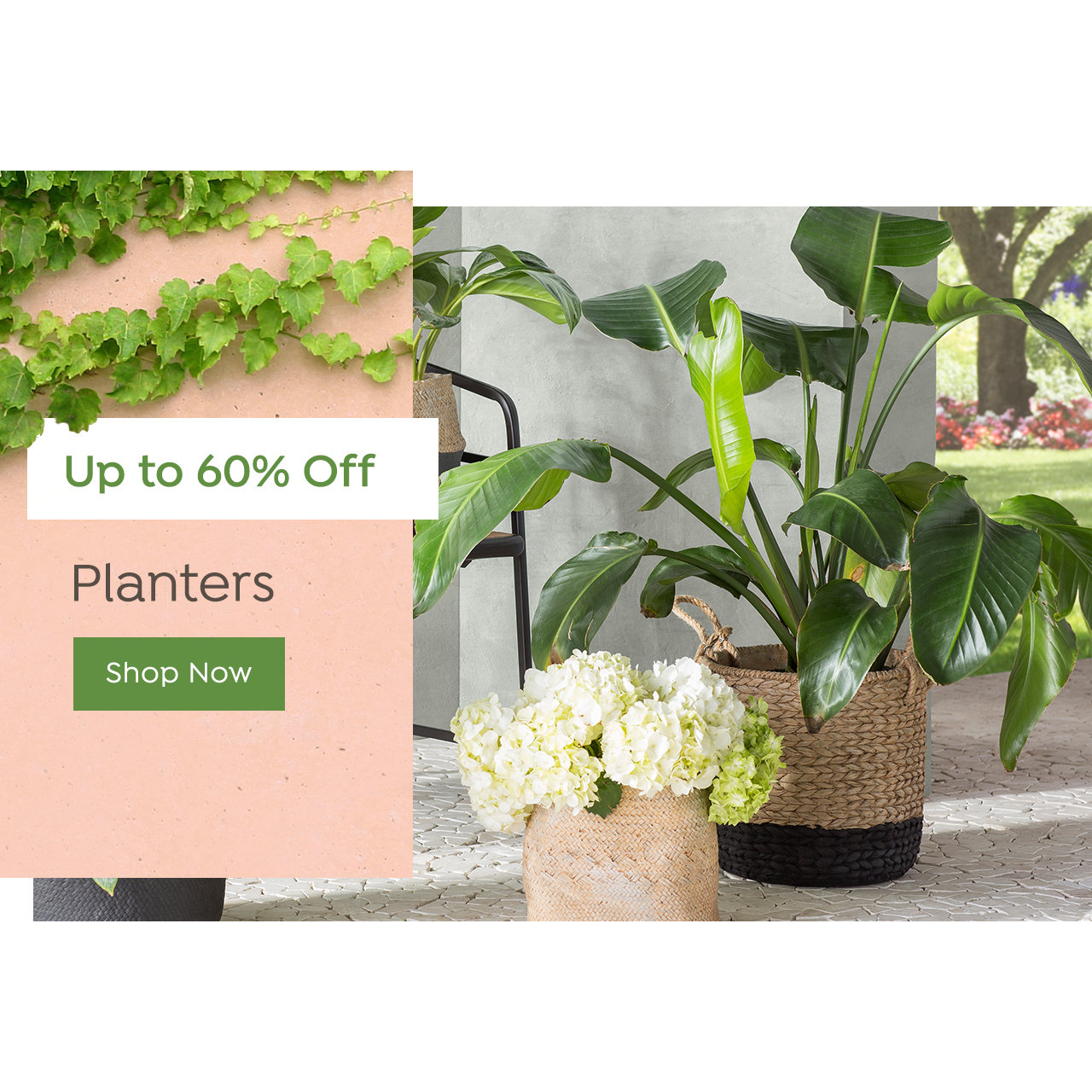 Planter Deals
