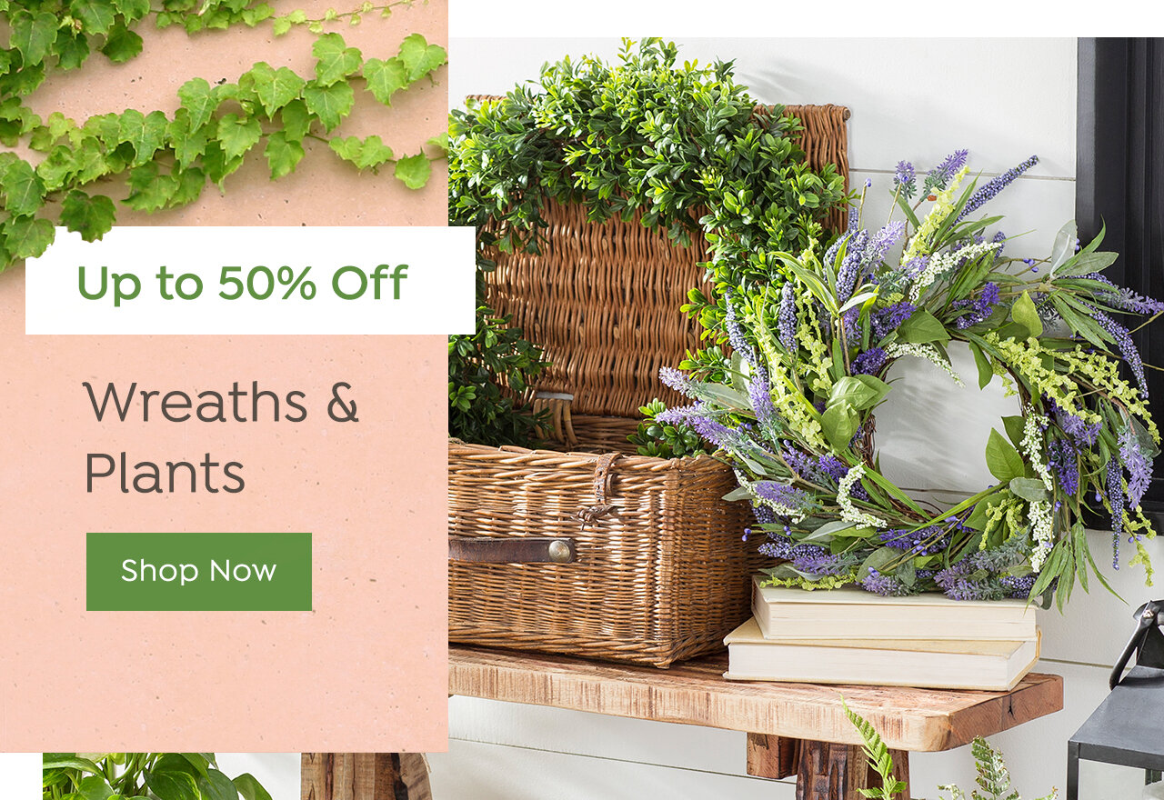 Wreath & Plant Deals