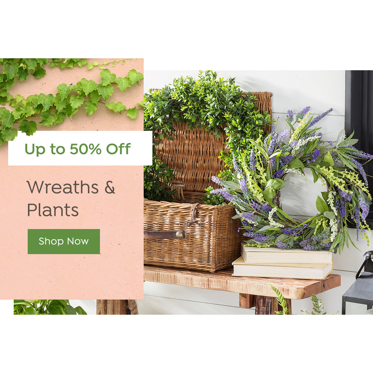 Wreath & Plant Deals