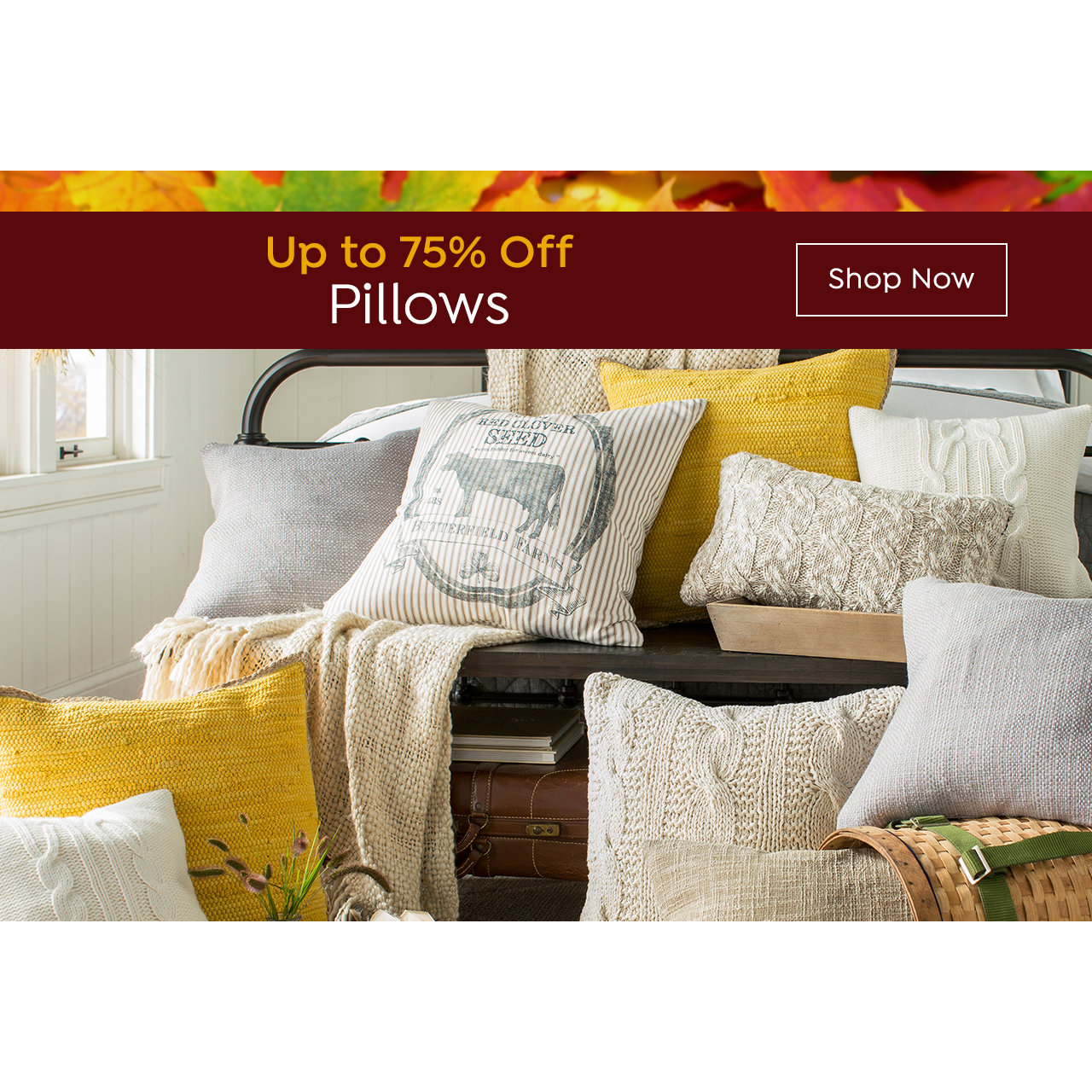 Pillow Sale