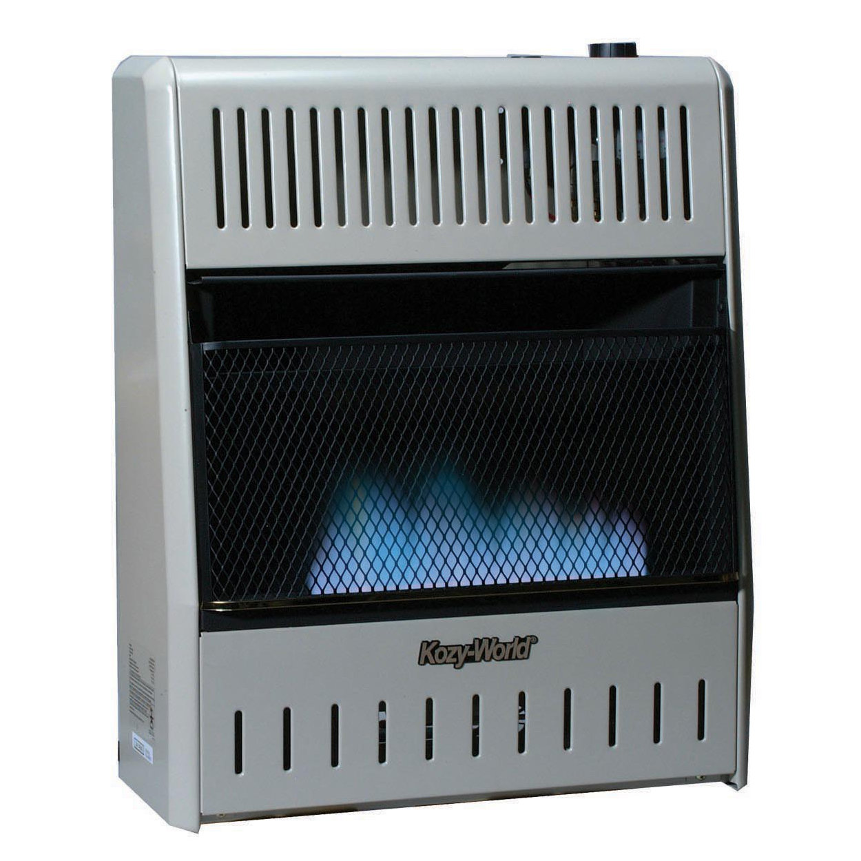 10000BTU Blue Flame VentFree Dual Fuel LP/Natural Gas Garage Wall