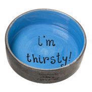 dog bowl