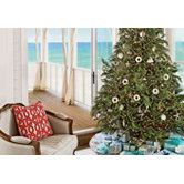 Crowd-Friendly Beach House
