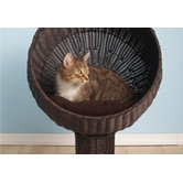 Top 10 Cat Beds