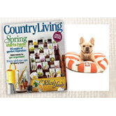 Playful Dog Beds