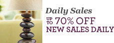 Daily Sales