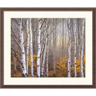 Aspen in Fog by Charles Cramer Framed Fine Art Print   32.30 x 38.30