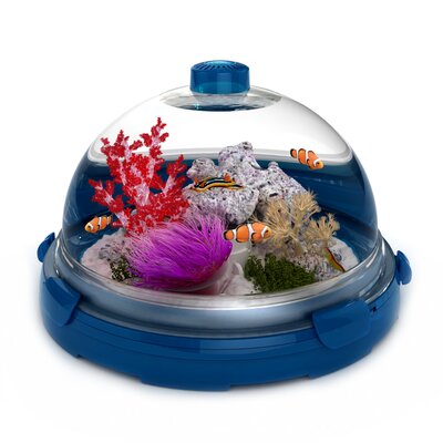 Bio Bubble Pets Desktop Aquarium Kit & Reviews | Wayfair