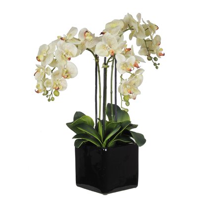 House of Silk Flowers Phalaenopsis Orchid Arrangement in Cube Ceramic ...
