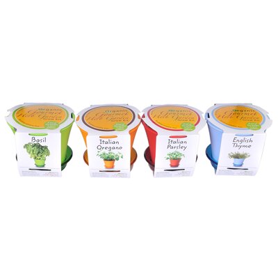 Global Amici Four Piece Herb Kit Set