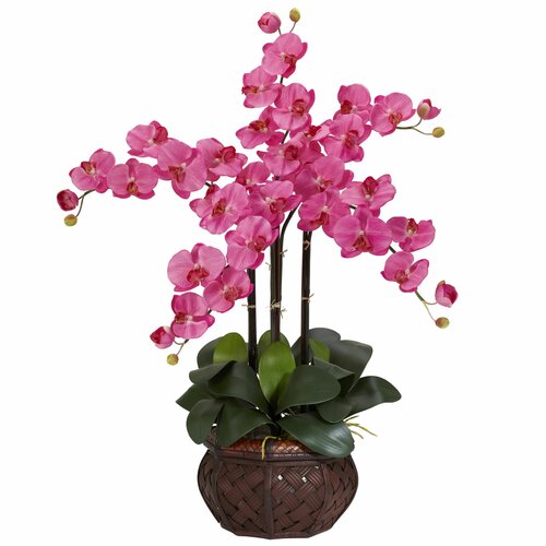 Nearly Natural Phalaenopsis with Decorative Vase Silk Flower