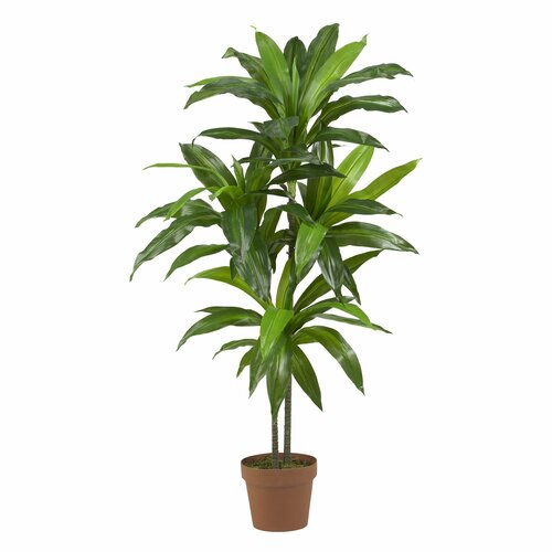 Nearly Natural Dracaena Silk Floor Plant in Pot & Reviews | Wayfair