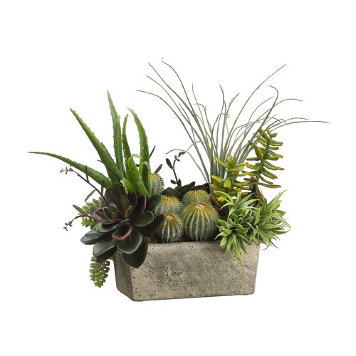 Tori Home Succulents Desk Top Plant in Planter