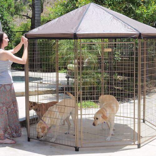 Advantek The Pavilion Pet Gazebo