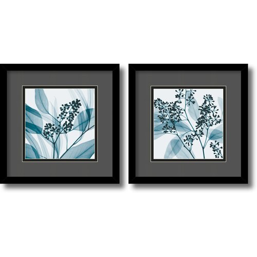 Amanti Art Eucalyptus Framed Print by Steven N. Meyers (Set of 2)