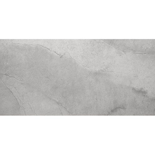 Emser Tile St Moritz 12 x 24 Glazed Floor Porcelain Tile in Silver