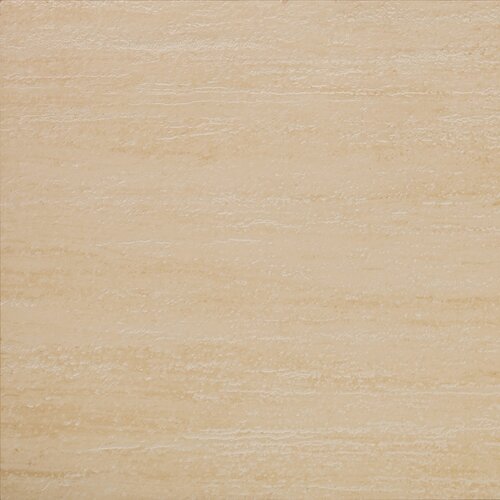 Emser Tile Veracruz 24 x 24 Glazed Floor Tile in Campeche