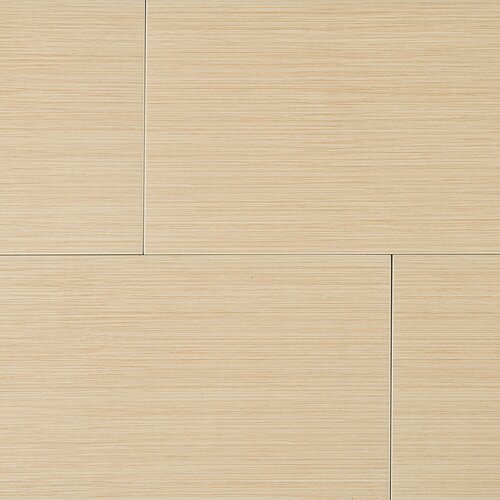 Kaska Element Series 24 x 12 Porcelain Tile in Beige