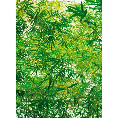 Brewster Home Fashions Ideal Decor Bamboo Wall Mural