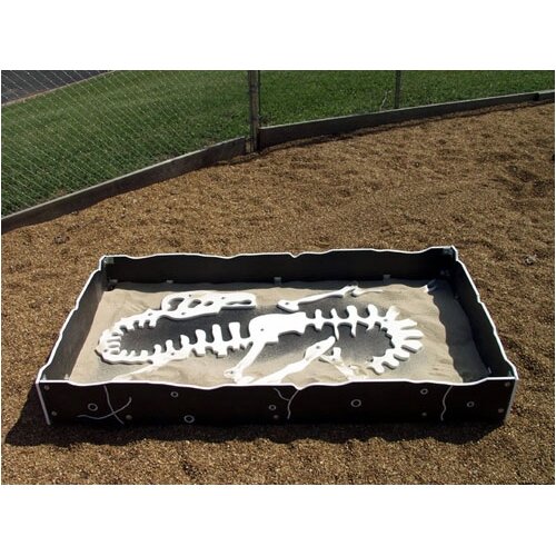 SportsPlay Fossil Sandbox