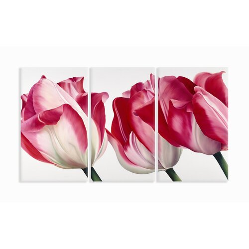 Stupell Industries Home Décor Fresh Tulips Triptych 3 Piece Painting