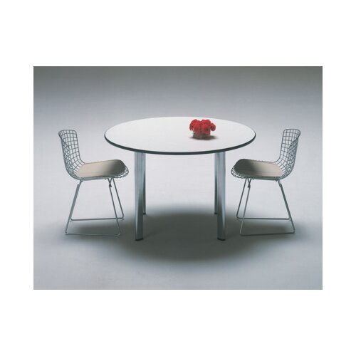 Knoll ® Bertoia Side Chair with Seat Pad