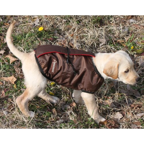 ABO Gear Reversible Sport Dog Jacket