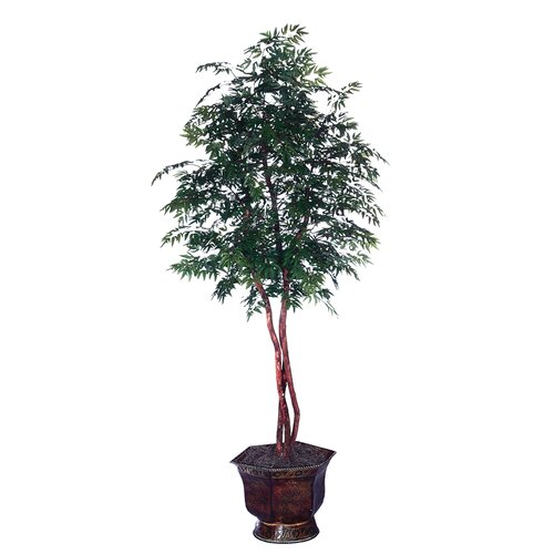 Vickerman Blue Pencil Ming Aralia Heartland Tree