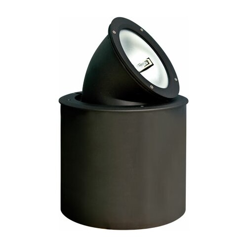 Dabmar Lighting In Ground Adjustable Well Light