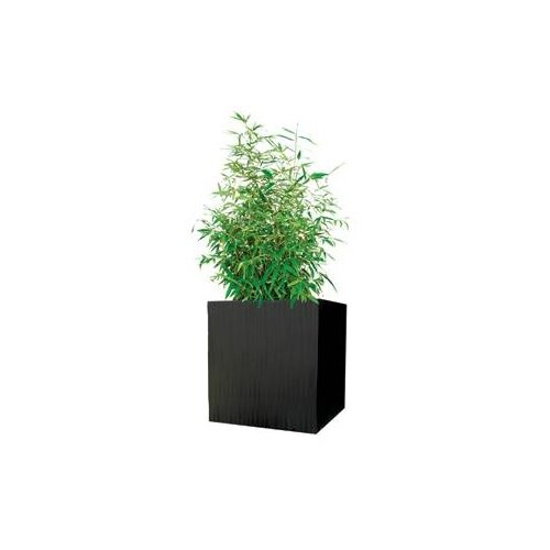 Modern Outdoor Kenji Square Planter Box